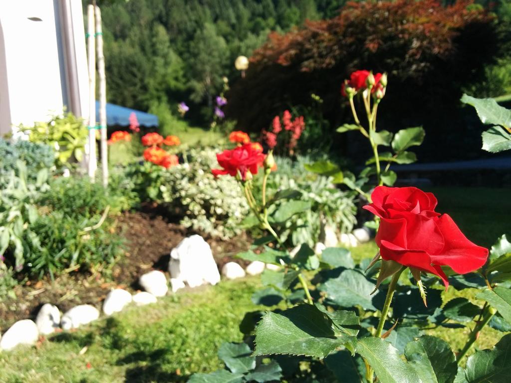 Villetta Val Di Sole Commezzadura Exterior foto