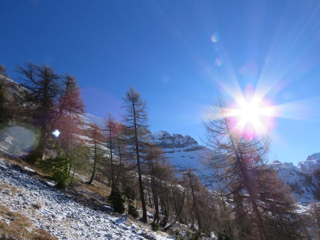 Villetta Val Di Sole Commezzadura Exterior foto